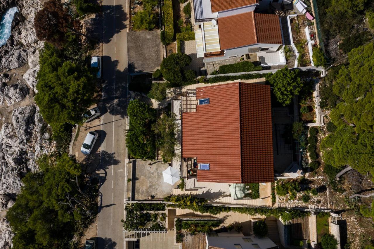 Apartment Branka *