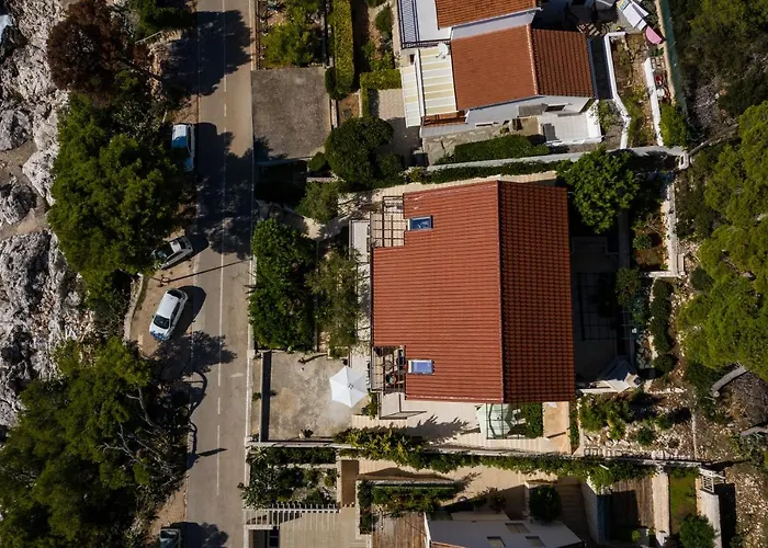 Apartment Branka
